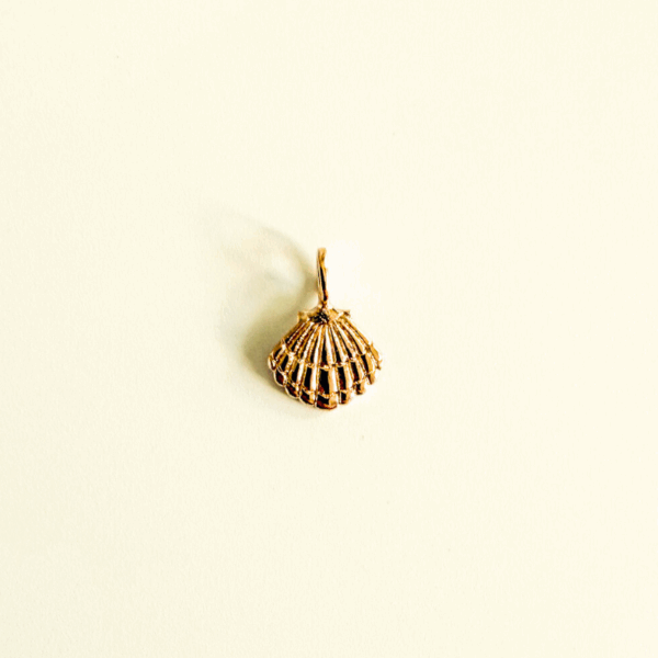 Coquillage