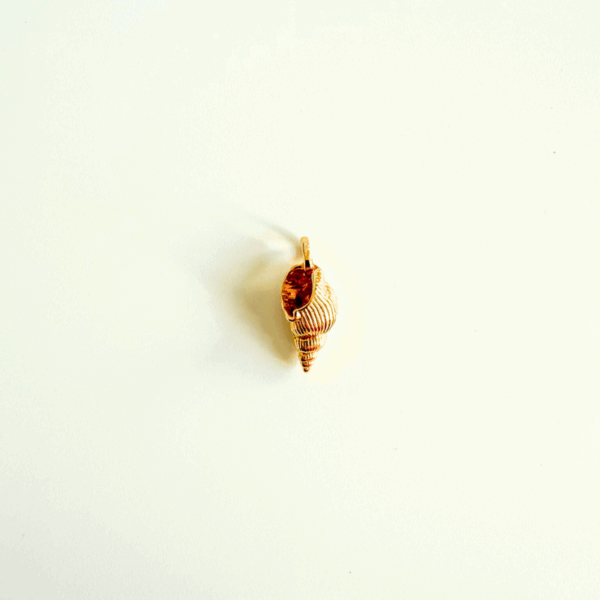 Coquillage