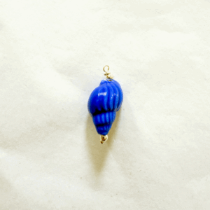 Coquillage bleu